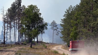 Brandenburg: Kampf gegen Waldbrand auf Ex-Truppenübungsplatz