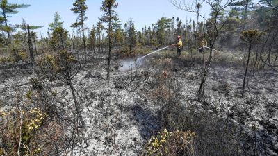 Waldbrände in kanadischer Provinz Québec: Streitkräfte und Regen helfen