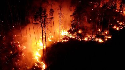 Waldbrand bei Jüterbog: Detonationen auf ehemaligem Truppenübungsplatz