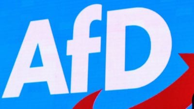 19,5 Prozent: AfD erzielt nochmals Rekordwert in Umfrage