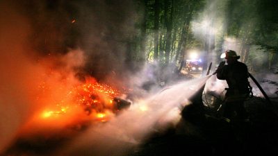 Nordosten besonders betroffen: Waldbrandgefahr steigt