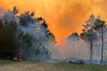 Mecklenburg-Vorpommern: Feuer auf früheren Truppenübungsplätzen ausgebrochen
