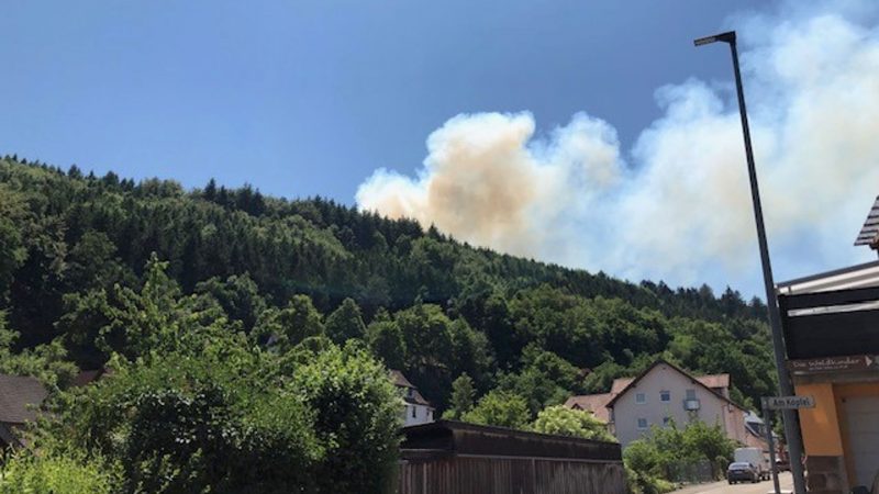 Waldbrand bei Pirmasens: Rund 50 Bewohner verlassen Häuser