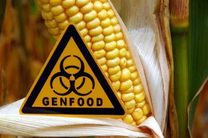 Gentechnik: Dänischer EU-Ratsvorsitz will Lockerungen vorantreiben