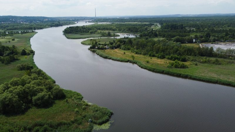 Blick auf die Oder bei Stettin: Behörden zufolge ist das Wasser im Unterlauf des Flusses frei von gefährlichen Goldalgen, die vergangenen Sommer zum großen Fischsterben geführt haben.