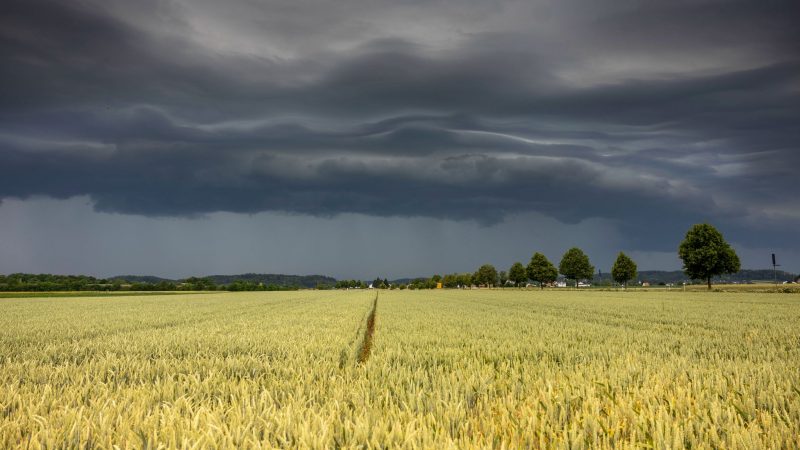Noch scheint die Sonne über Augsburg, doch dunkle Wolken ziehen bereits auf. Laut dem  Deutschen Wetterdienst könnte es in Teilen Bayerns zu heftigen Gewittern mit Starkregen und Hagel kommen.