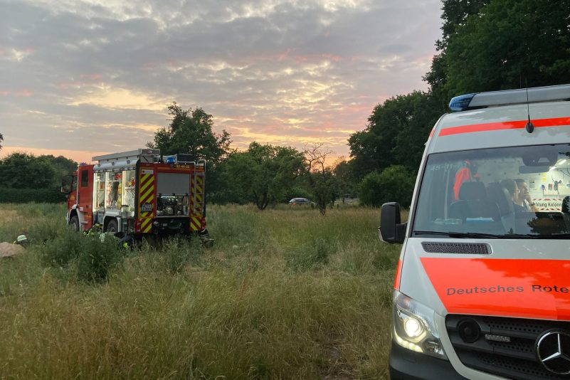 Fahrzeuge von Feuerwehr und Deutsches Rotes Kreuz stehen an einer Wiese.