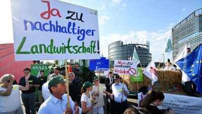 Vor EU-Parlament: Demonstrationen für und gegen das EU-Renaturierungsgesetz
