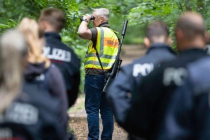 Doch nur ein Wildschwein? Berlins Jagd auf „Löwin“ eingestellt