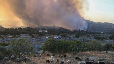 Lage in den griechischen Brandgebieten leicht entspannt