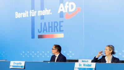 AfD-Kandidatenwahl für EU-Parlament: Verfassungsschutz äußert Bedenken