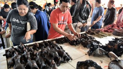 Berüchtigter Markt stellt Handel mit Hunde- und Katzenfleisch ein