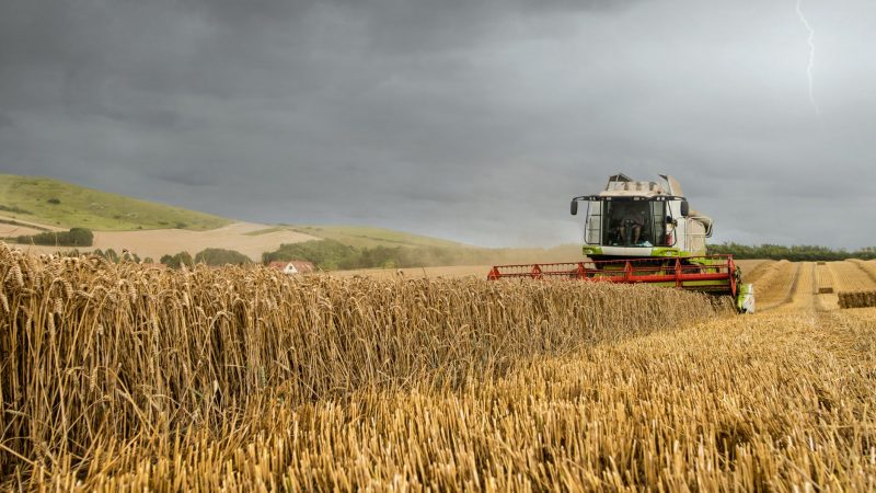 Analyse: Erhöht Klimawandel Gefahr von Ernteausfällen?
