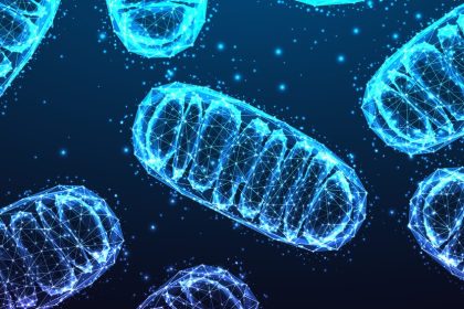 Durchbruch in der Psychiatrie: Mitochondrien als Ursache für psychische Erkrankungen?