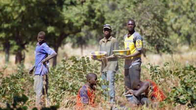 Simbabwe: Vier Tote bei Einsturz von Goldmine