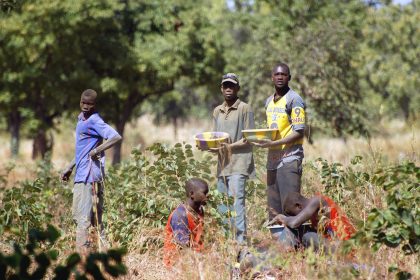 Simbabwe: Vier Tote bei Einsturz von Goldmine
