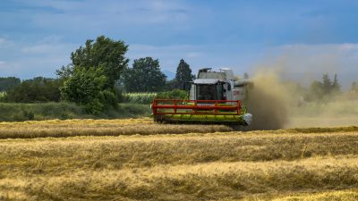 Bauern vor Ertragseinbußen – 40 bis 45 Prozent Preiseinbruch bei Getreide und Raps