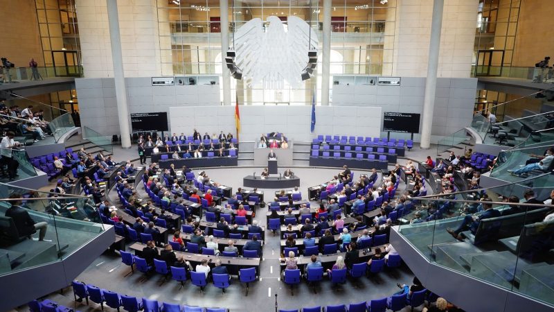Grauzone im Bundestag: Wenn Abgeordnete in eigener Sache agieren