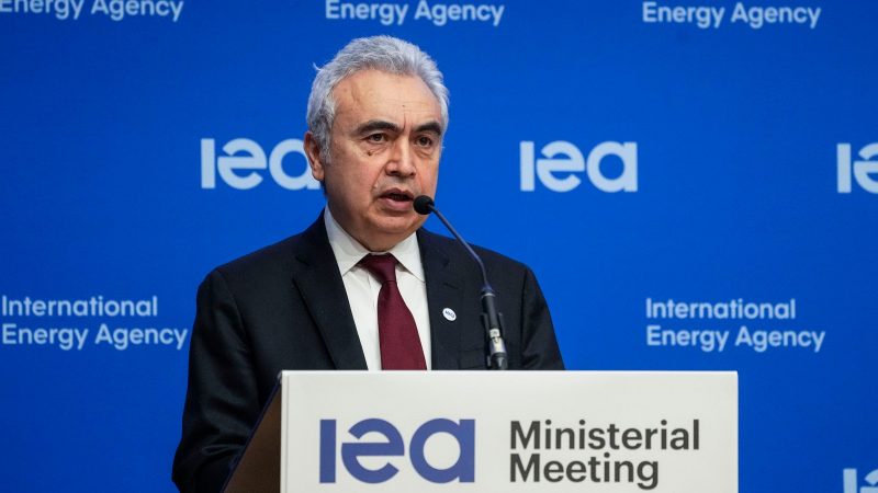 IEA-Exekutivdirektor Fatih Birol im März 2022 in Paris.