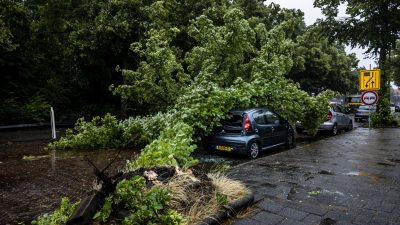 Gewitter und Orkan im Norden erwartet