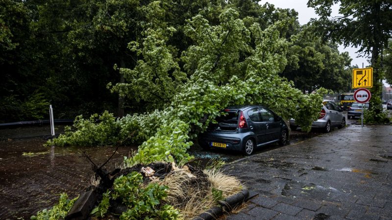 Umgestürzter Baum auf einem Auto im niederländischen Haarlem.