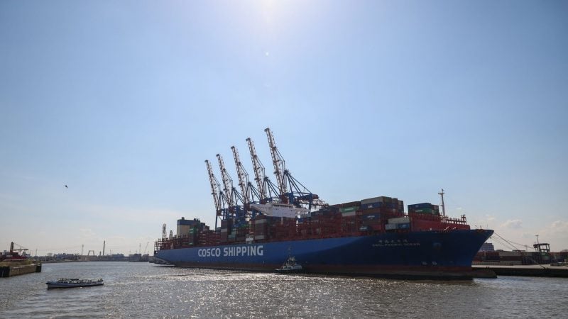 Ein Containerschiff liegt am Terminal Tollerort im Hamburger Hafen.