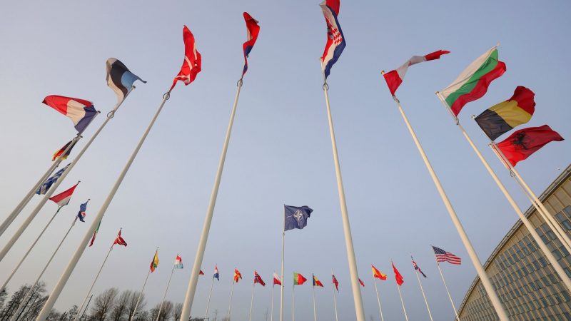 Die Flaggen der NATO-Mitglieder wehen vor der Unterzeichnung einer gemeinsamen Erklärung zur Zusammenarbeit in strategischen Bereichen zwischen der NATO und der EU vor dem NATO-Hauptquartier.
