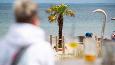 Tropical Ostsee: Palmen sollen mehr Urlaubsgefühl geben