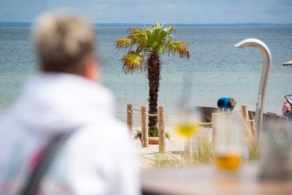 Tropical Ostsee: Palmen sollen mehr Urlaubsgefühl geben