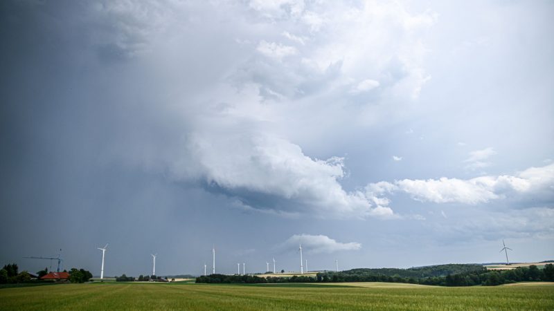 Eine Regenfront mit dunklen Wolken ist hinter einem Gerstenfeld zu sehen.