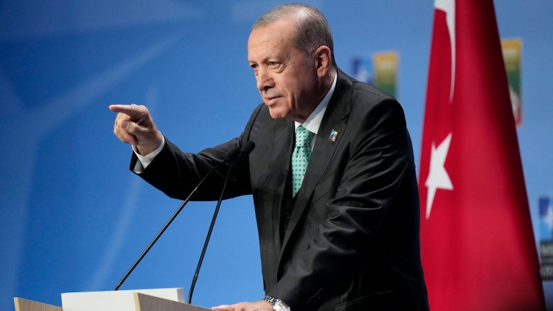 Recep Tayyip Erdogan ist der Präsident der Türkei.
