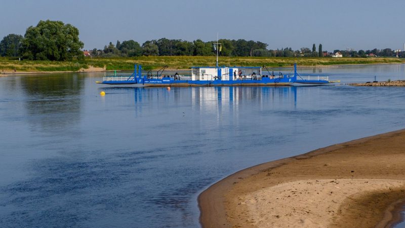 Eine Sandbank ist im Elbestrom in Magdeburg zu sehen. Dürren gehören zu den Folgen des Klimawandels.