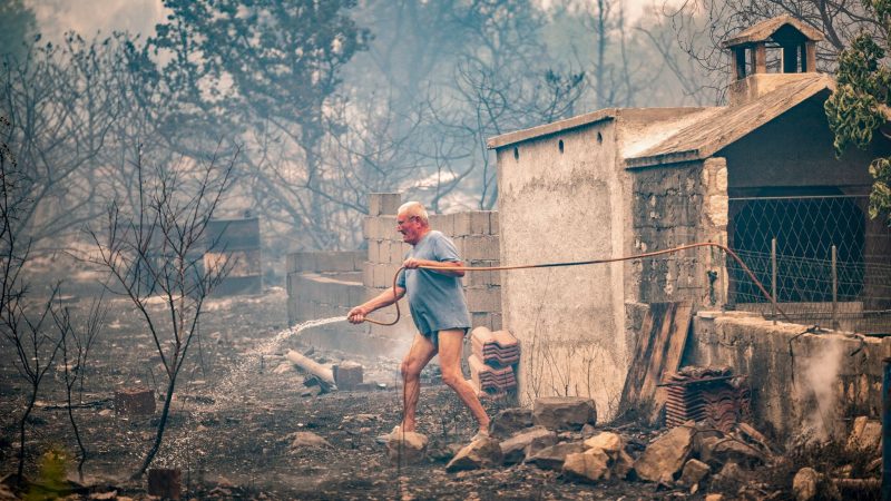 Auch vor Grebastica in Kroatien machen die Flammen nicht Halt: Nur schwer aufzuhalten zwingen sie Anwohner wie diesen Mann selbst Hand anzulegen im Kampf gegen die durch sie ausgelöste Zerstörung.