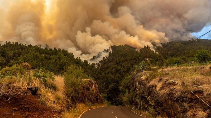 Wegen der großen Trockenheit und heftiger Winde breiteten sich die Flammen schnell aus.