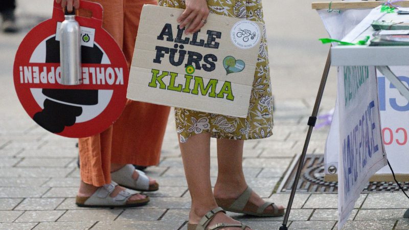 Teilnehmer halten bei Protesten der Klimaschutzbewegung Fridays for Future Plakate.