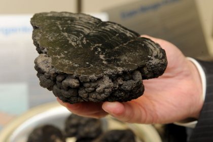 Trump unterzeichnet Dekret für Ausweitung des Tiefseebergbaus