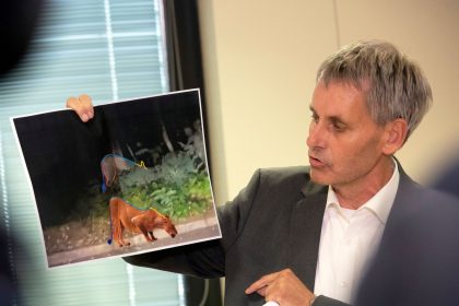 Raubtiersuche bei Berlin: Zweifel an der Wildschwein-Theorie