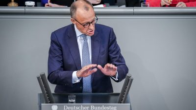Friedrich Merz (CDU) will nicht mit der AfD kooperieren - verboten werden soll die Partei seiner Meinung nach aber auch nicht.