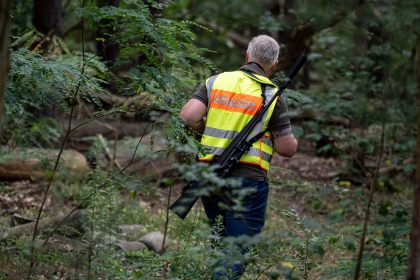 Nach Löwensuche: Ergebnis von Spurenanalyse liegt vor