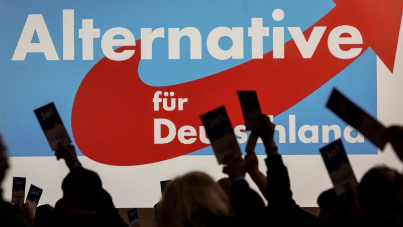 Delegierte versammeln sich zum AfD-Bundesparteitag in Magdeburg.