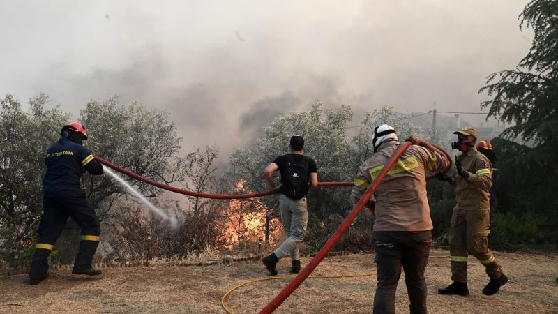 Feuerwehrleute und Freiwillige versuchen den Brand bei Nea Anchialos zu löschen.