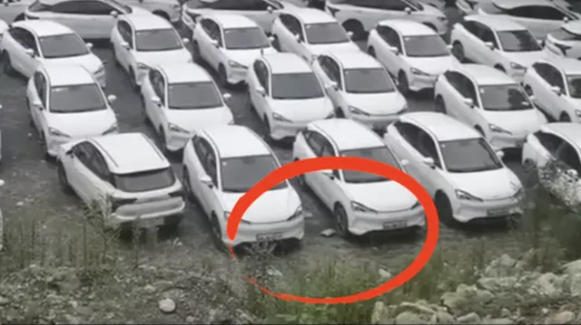 E-Auto-Boom in China – Oder alles nur Fassade?
