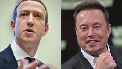 Käfigkampf mit Zuckerberg: Musk gibt Update