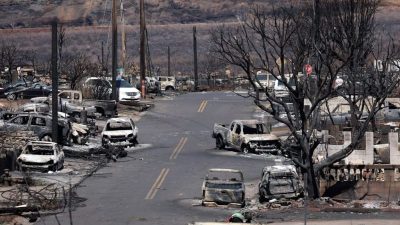 Feuer auf Hawaii-Insel Maui: Katastrophenschutzchef tritt nach Brand zurück