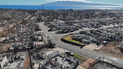 Nach Brandkatastrophe: Insel Maui verklagt örtlichen Stromversorger