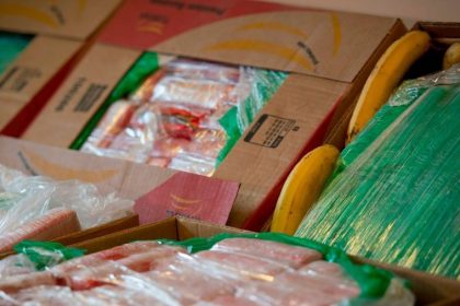Halbe Tonne Kokain in Bananenkisten entdeckt
