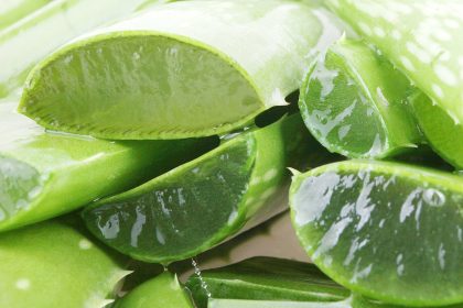 Aloe Vera gegen Alzheimer? Studien zeigen verblüffende Verbesserungen der Gehirnleistung