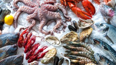 Vor der Marktreife: Vegane Meeresfrüchte aus dem 3D-Drucker