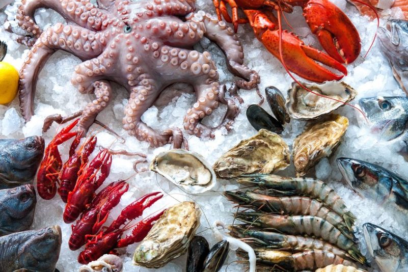 Forscher wollen Meeresfrüchte aus 3D-Drucker auf den Markt bringen