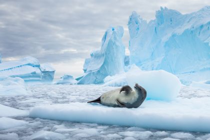 Eis der Antarktis stabil – Wachstum trotz Eisschmelze
